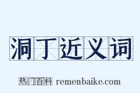 洞丁近义词是什么意思的图片